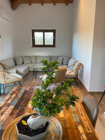 Agriturismo Terre Di Nelio Vignanello Exteriér fotografie